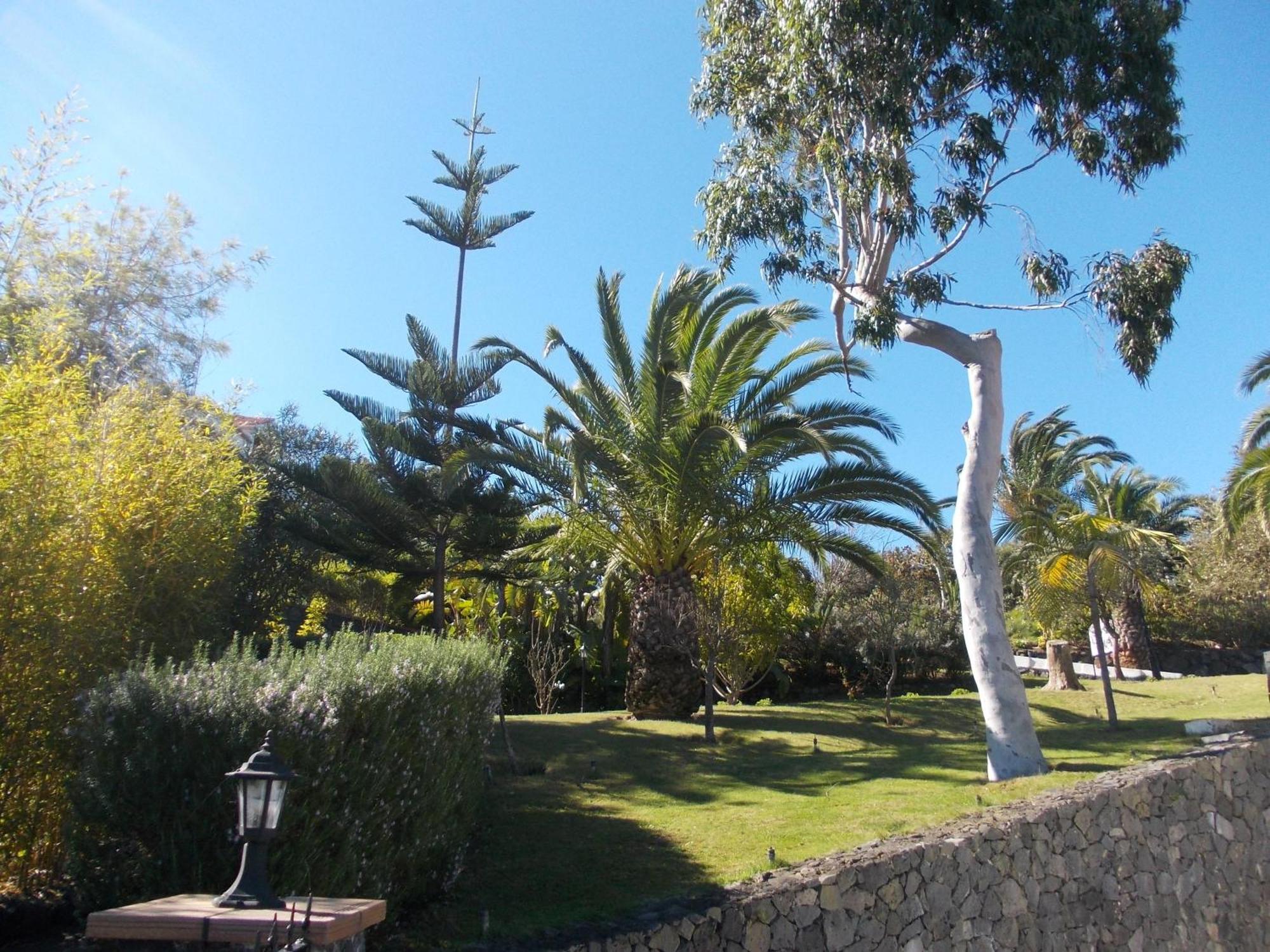 Hotel La Palma Romantica Barlovento Buitenkant foto