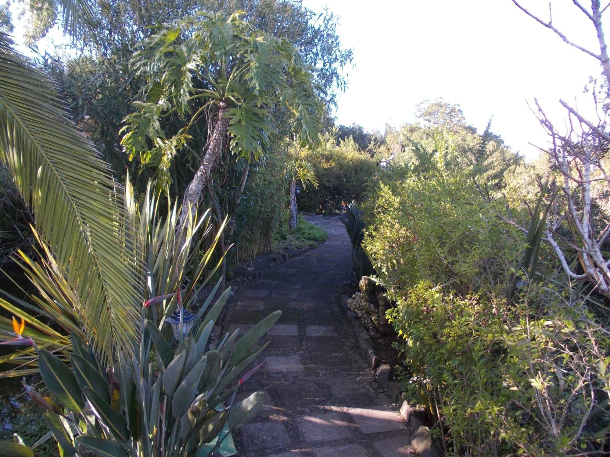 Hotel La Palma Romantica Barlovento Buitenkant foto