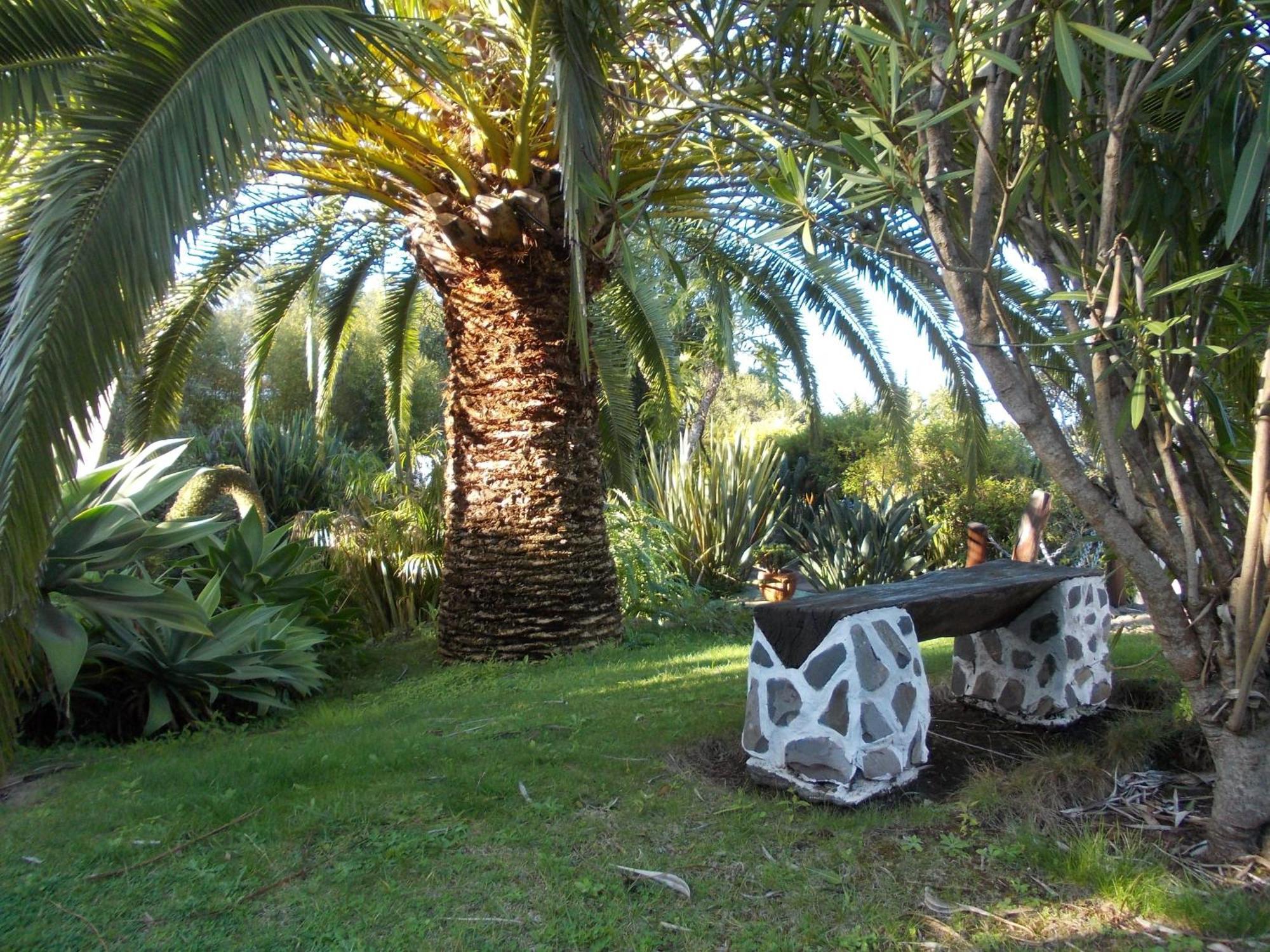 Hotel La Palma Romantica Barlovento Buitenkant foto