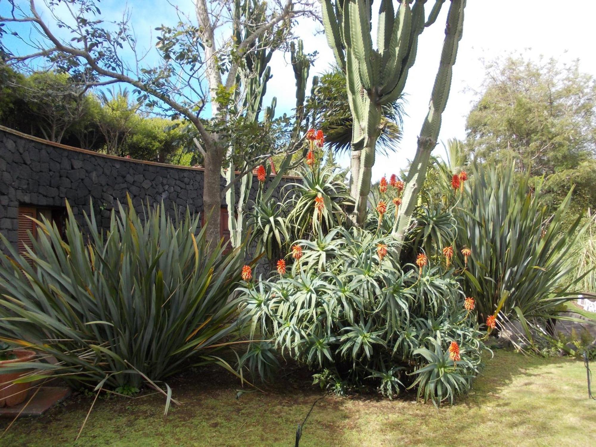 Hotel La Palma Romantica Barlovento Buitenkant foto
